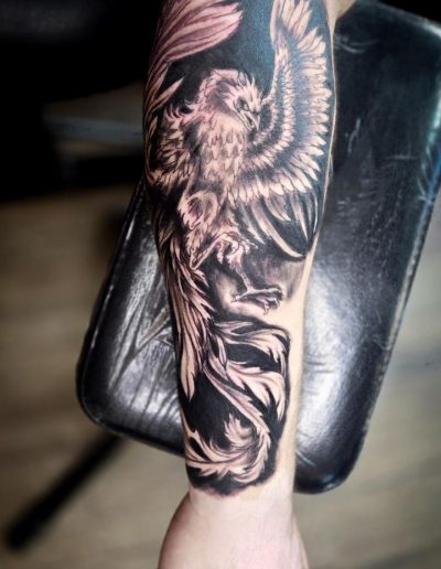 Black and gray phoenix tattoo art on a person's arm.