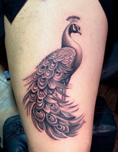 Black and grey tattoo of a peacock with detailed feathers on a person's thigh.