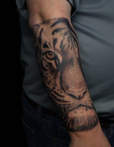 Realistic black and grey tiger face tattoo on a man's arm