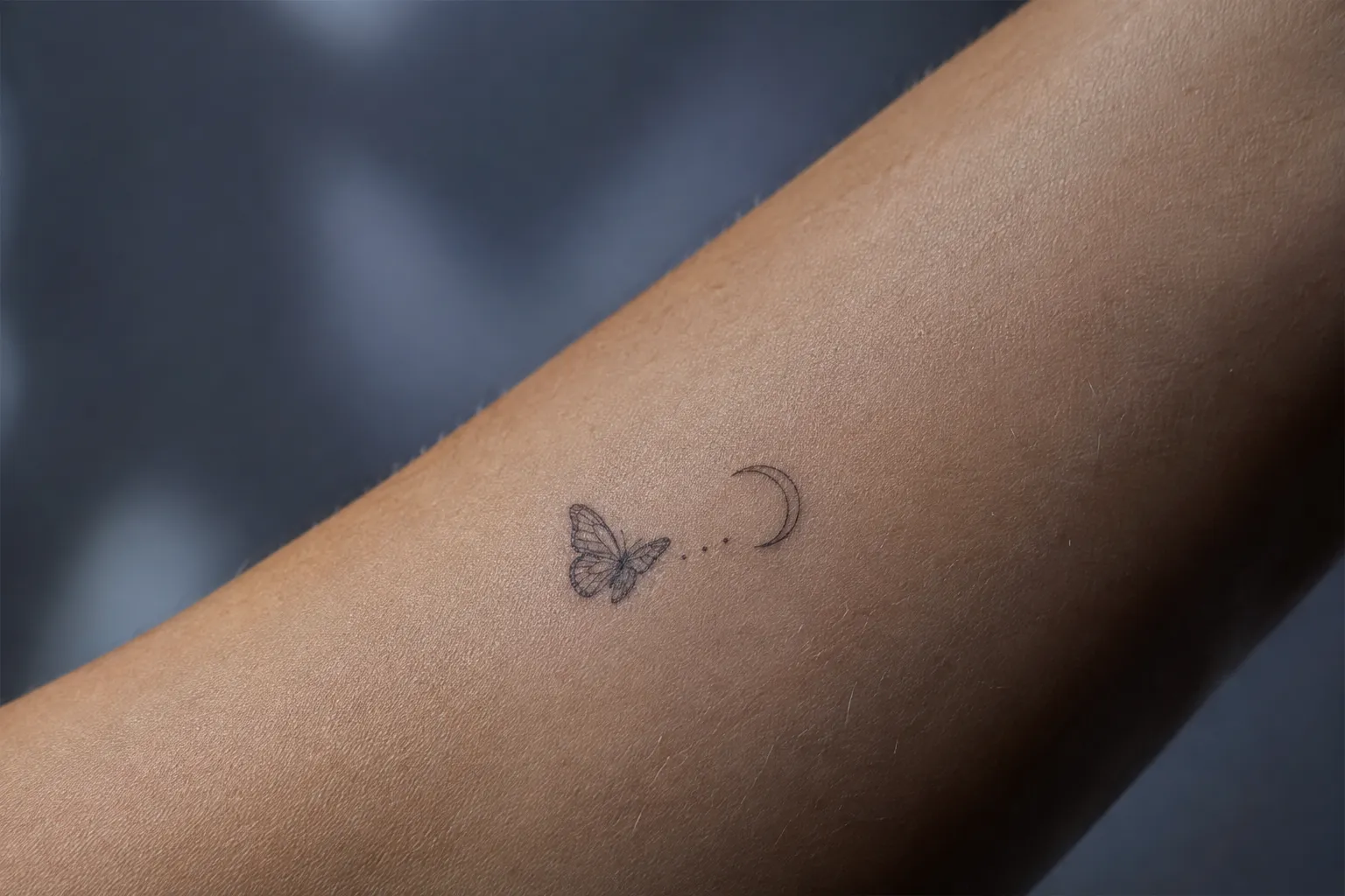 Butterfly With the Moon